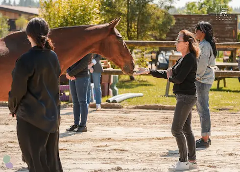 Parcours Equipe